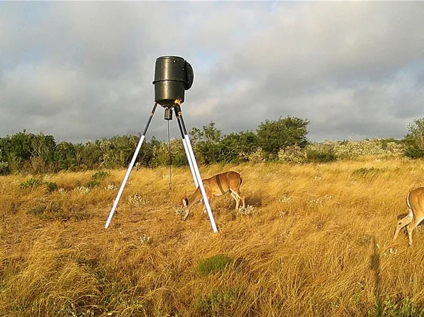 44 Ranch South Hwy S, San Diego, TX 78384