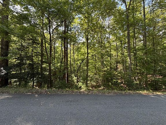 4th image of 556 Satsuma Ct S