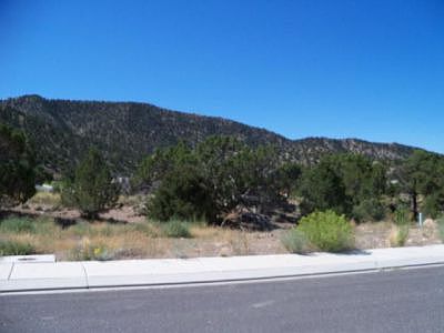 Forest Circle