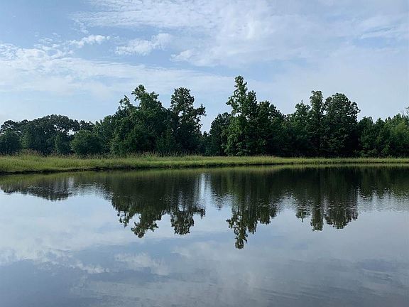 4th image of 18706 County Road 261