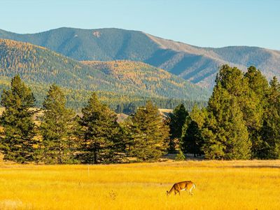 739 Paradise Loop Lot 10, Eureka, MT, 59917