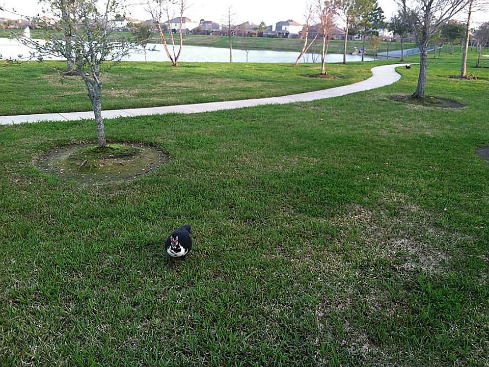 1st image of 8222 Ginger Park Dr