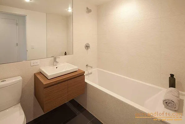 Rented by aptsandlofts.com | media 16