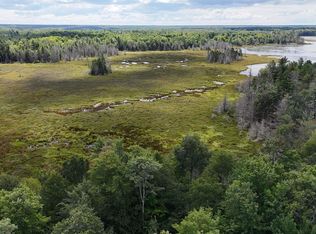 Tee Lake Rd, Gulliver, MI 49840