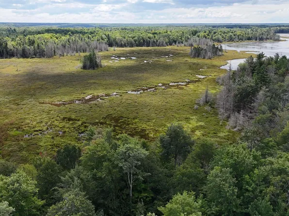 Tee Lake Rd, Gulliver, MI 49840