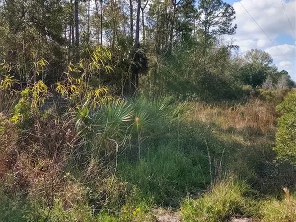 1785 Maplewood Dr, Edgewater, FL 32132