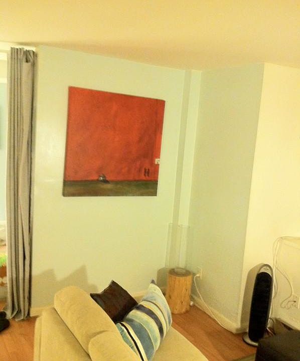 2nd image of 251 W Newton St APT 09