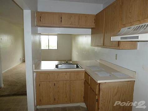 4th image of 5020 Palm Hill Dr APT 120