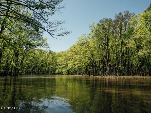 County Road 176, Sidon, MS 38954