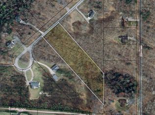 11193 Hassler Woods Trl, Burt Lake, MI 49717