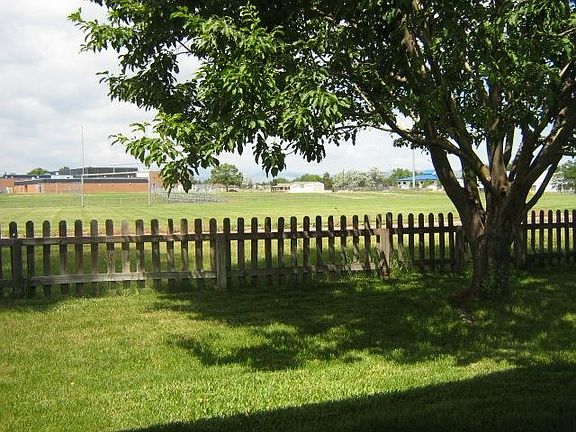 Back yard