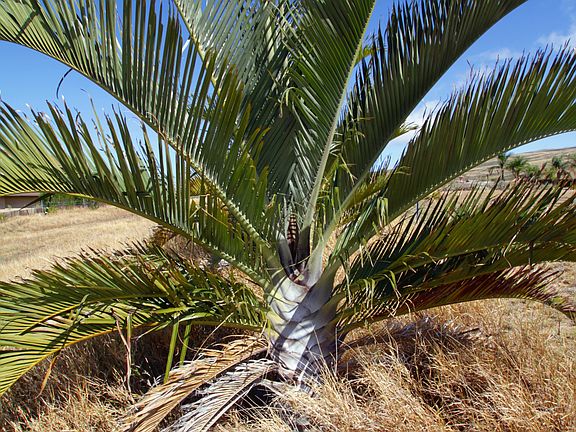 3rd image of Anekona Estates Lot #27-b