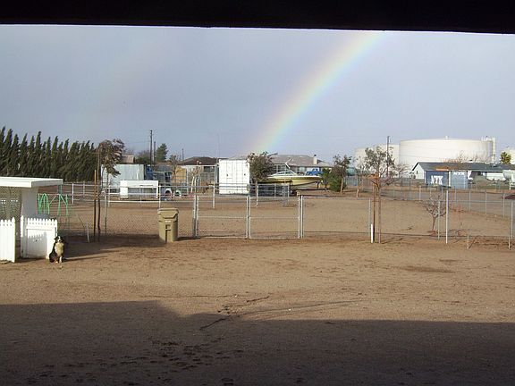 View of back yard (Rainbow after rain)
