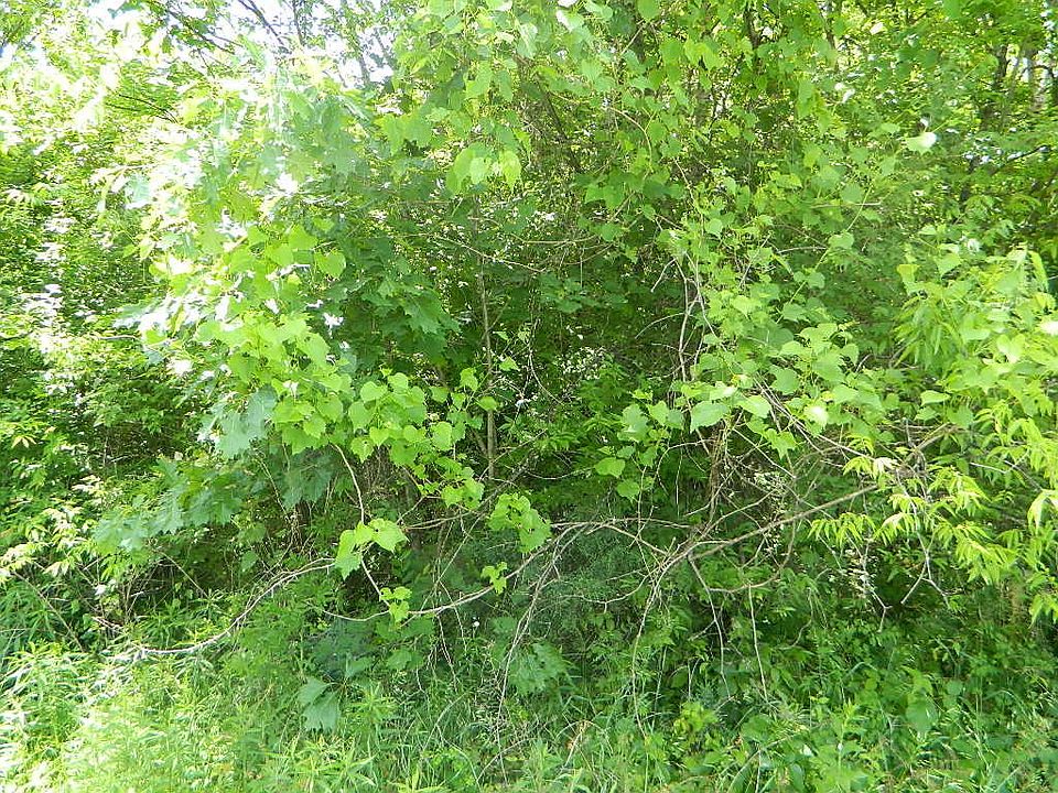2nd image of 4 Middleton Cir #4