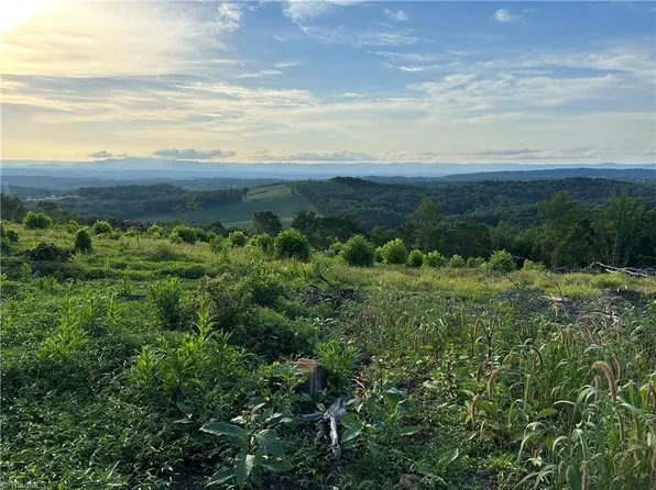 3 Howell Rd #3, Pilot Mountain, NC 27041