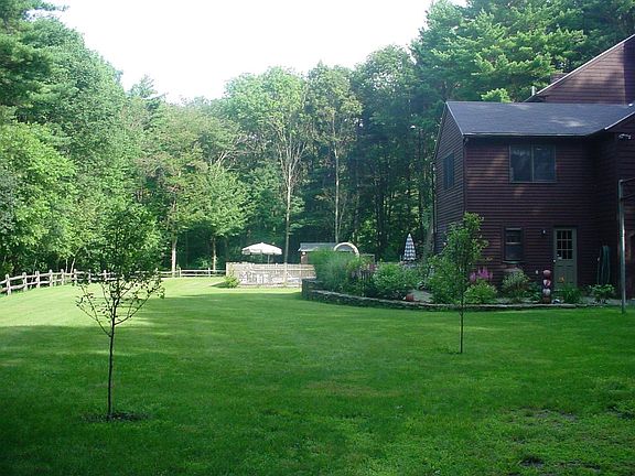 Rear yard