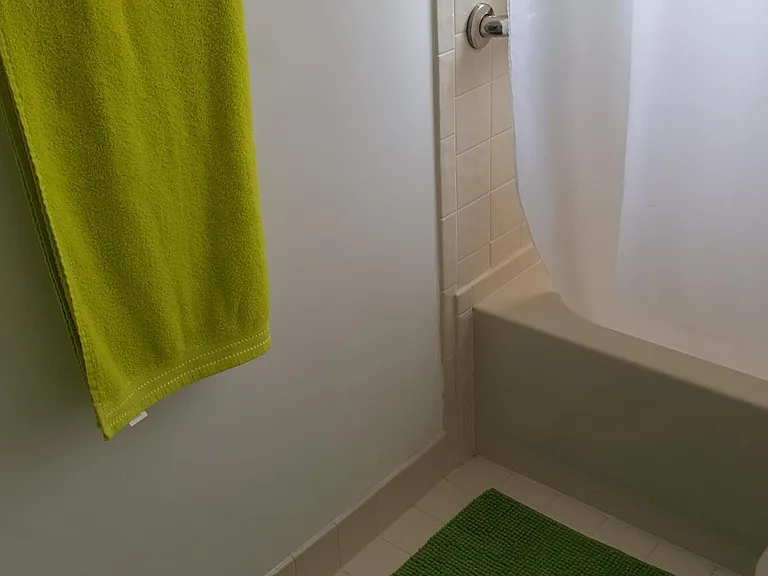 Guest bathroom