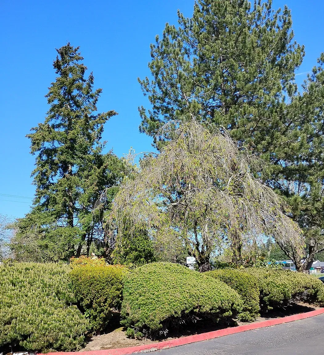 Rochelle Apartment Homes — Photo 1