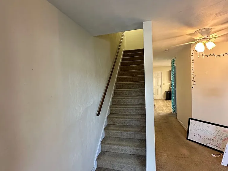 215 Pheasant Run Drive - Knowles — Photo 19