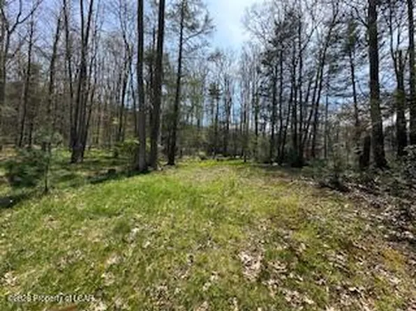 Oak Dr, Drums, PA 18222
