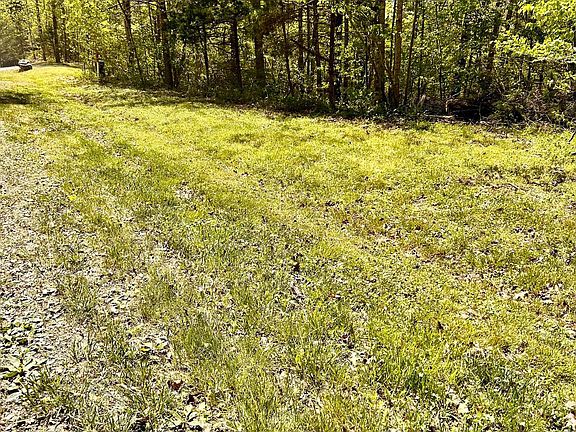 5th image of Indian Trace Trl