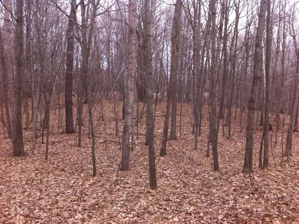 2nd image of W River Rd
