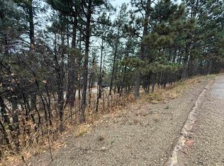 LOT 119 Valley Rd, Angel Fire, NM 87710