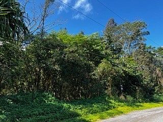 2nd image of 23rd Avenue Naupaka Lot 1125