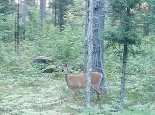 Fishing Site Rd #1, Amasa, MI 49903