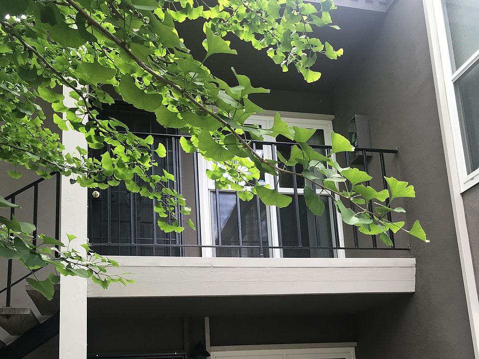 Front door/patio