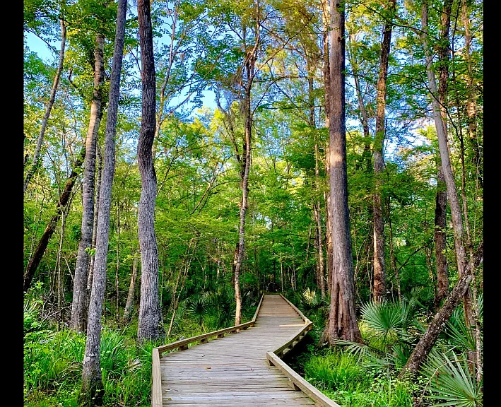 Trail near the house