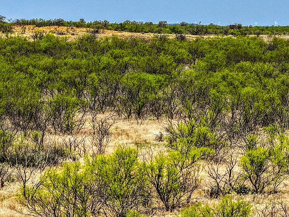 5th image of 5600 Roney Rd