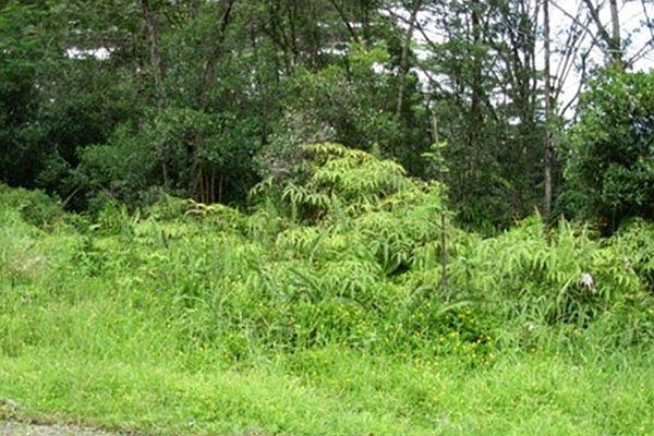 1st image of 25 Avenue