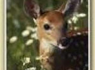 130th St, Herman, MN 56248