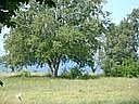 2nd image of 2858 S Lakeshore Dr