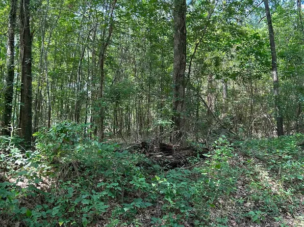 532 Jerome St, Rusk, TX 75785