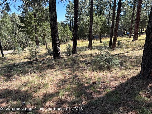 2nd image of 102 Twin Tree Rd