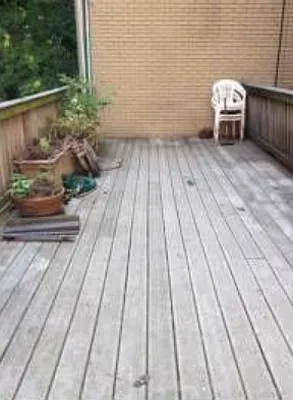 Rented by Douglas Elliman | media 13