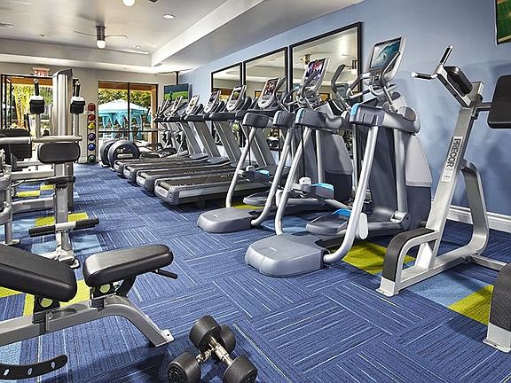 gym