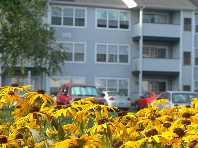 Woodmill Apartments — Photo 22