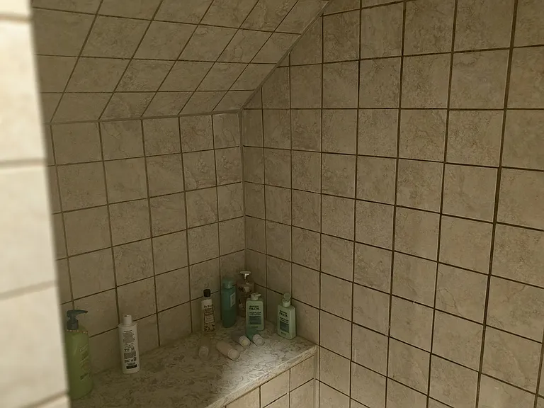 Master Shower