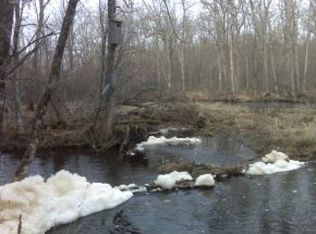 On Cth B, Pelican Lake, WI 54463
