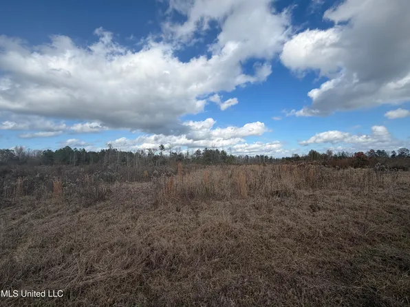 0 Clem Rd, Prentiss, MS 39474