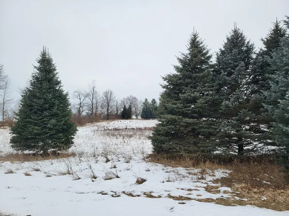 2209 105th Ave, Otsego, MI 49078