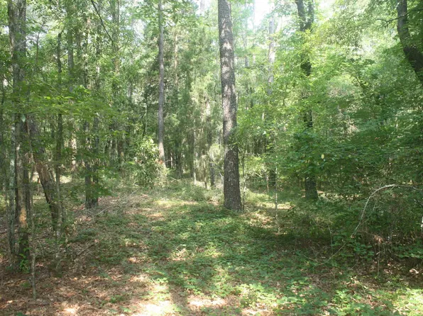 176 Seagull Rd, Cochran, GA 31014