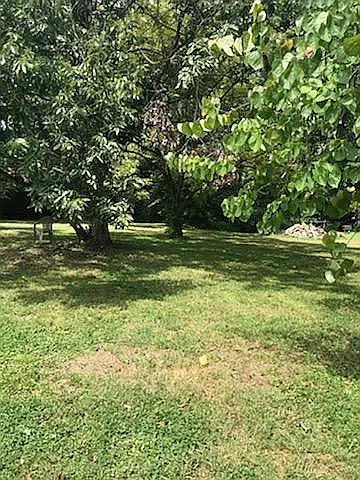612 W Nocturne Dr — Photo 5