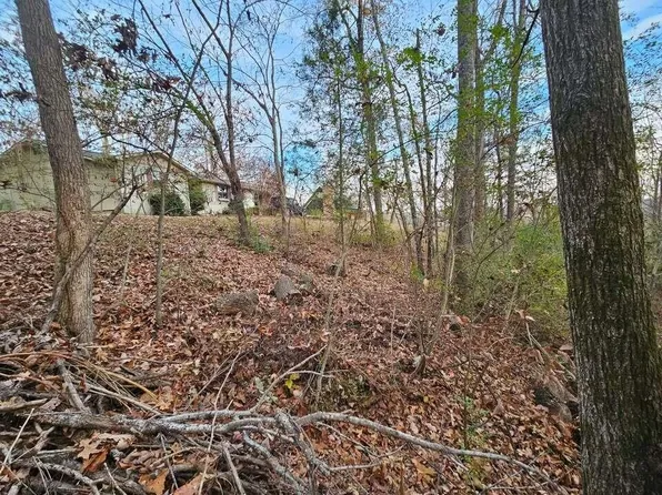 25 Countryside Dr, Evensville, TN 37332