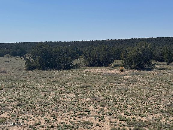 4th image of Lot 531 Woodland Valley Ranch -- #531