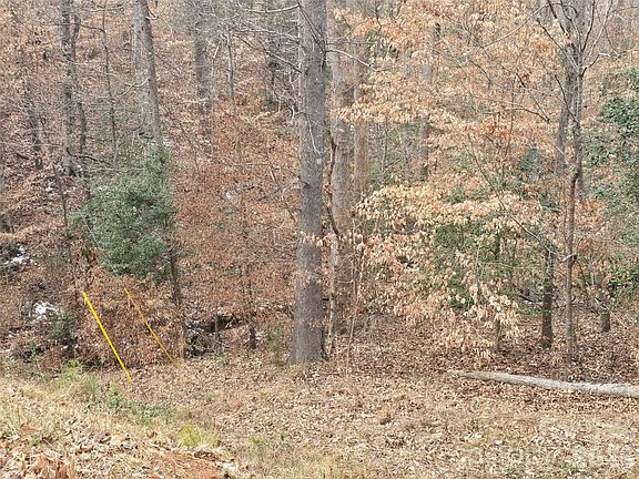 4th image of 301 Chinkapin Rd