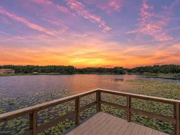 2459 Shorewood Ln, Land O Lakes, FL 34639